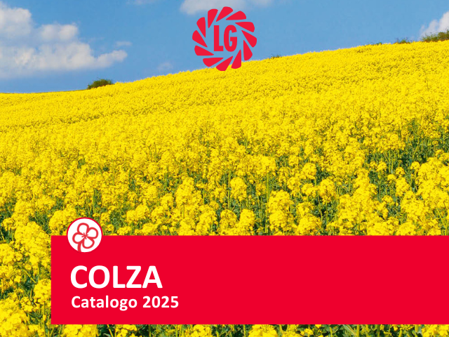 Colza