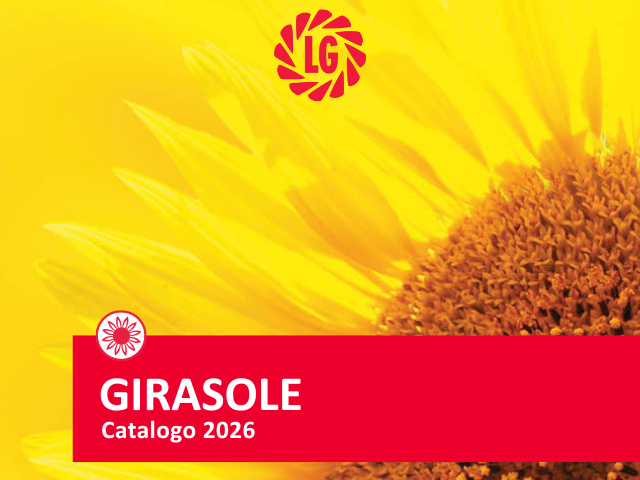 Girasole