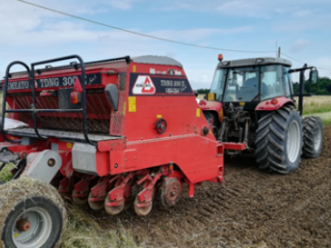 Semine grano 2019-2020: ci sono ancora spazi