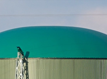 Triticale e biogas – binomio vincente