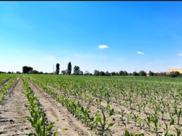 È arrivata la primavera?