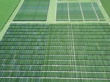 Tecnologie al servizio dell’esperienza