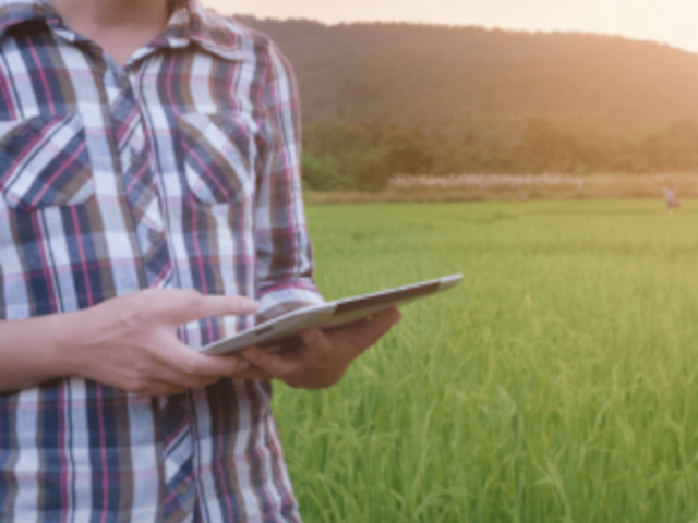 Semina dei cereali: agronomia e tecnologie