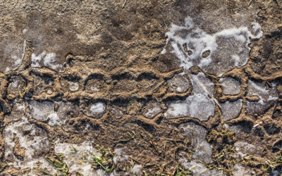 Lavorazioni del terreno: quali sono i meccanismi coinvolti nell’alternanza gelo/disgelo ?