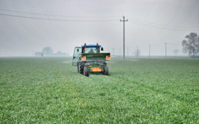 Primo intervento di concimazione per i cereali a paglia