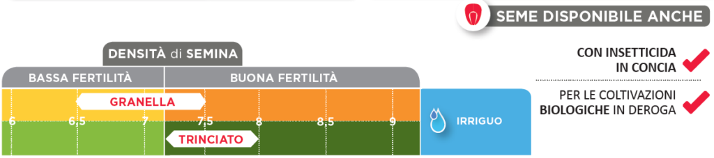 LG 31.630 | LG-Italia