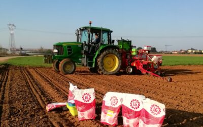 Rotazioni colturali: tecniche agronomiche e benefici economici