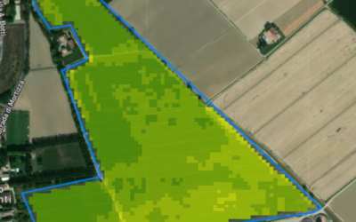 Monitoraggio satellitare: Gps e droni al servizio dell’agricoltura