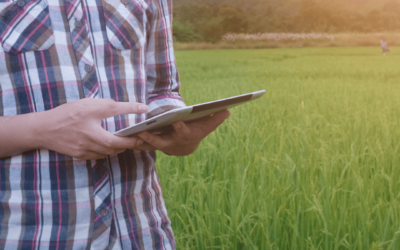 Semina dei cereali: agronomia e tecnologie